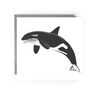 Killer Whale Sealife Card, thumbnail 2 of 6