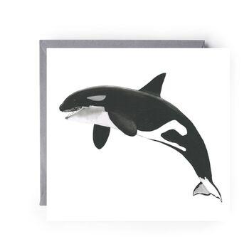 Killer Whale Sealife Card, 2 of 6