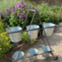 Six Pot Plant Stand, thumbnail 3 of 6