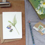 Bee And Comfrey Any Occasion Greetings Card, thumbnail 1 of 7