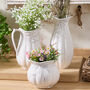 Radway White Ceramic Collection, thumbnail 1 of 4