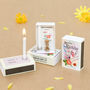 September Birth Flower Seeds And Birthday Candle Gift, thumbnail 1 of 8