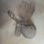 Wire Animal Trophy Head, thumbnail 2 of 6