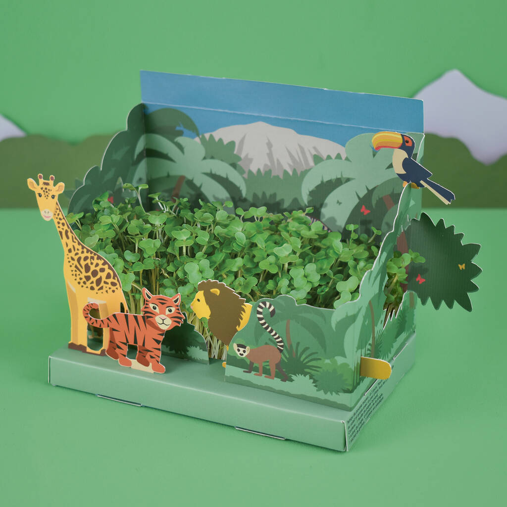 Grow Your Own Mini Jungle Garden, 1 of 6