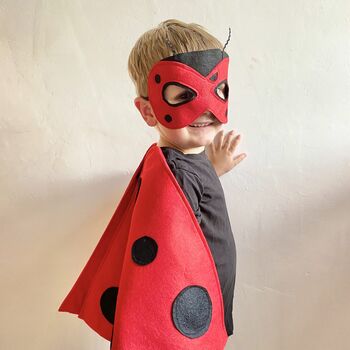 Felt Ladybird Costume For Kids And Adults, 8 of 12