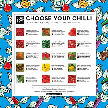Choose Your Chilli Chilli Variety Grow Kit, 3 of 7
