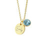 Personalised Gold Plated Birth Crystal Disc Necklace, thumbnail 9 of 12