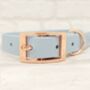 Waterproof Dog Collar And Lead Set Pastel Blue, thumbnail 2 of 3