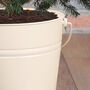 Personalised Ivory Christmas Tree Bucket Planter, thumbnail 4 of 4