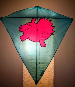 Flying Pig Kite. Handmade Easy Flying Kite, 3 of 8