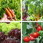 Dads Allotment Vegetable, Herb, Salad, Seed Kit, thumbnail 5 of 9