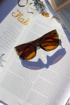 Brown Thick Framed Chunky Cat Eye Sunglasses, 3 of 7