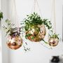 Rose Gold Disco Ball Hanging Planter, thumbnail 1 of 5