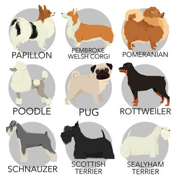 Personalised Dog Print Various Different Breeds, 7 of 8