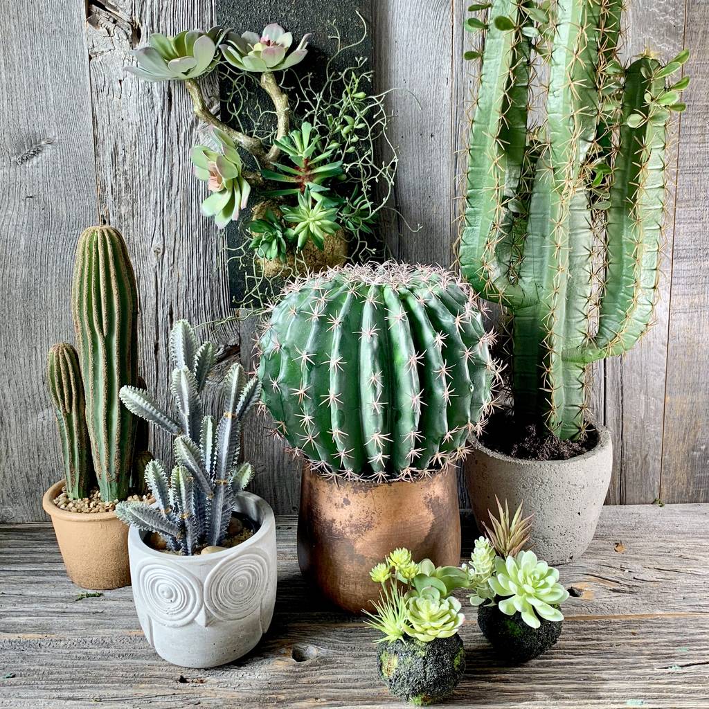 Faux Succulent Plant By London Garden Trading