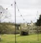 Festoon Pole, thumbnail 1 of 2