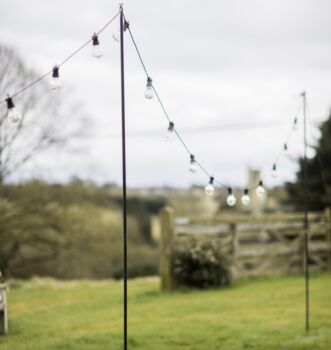 Festoon Pole, 2 of 5