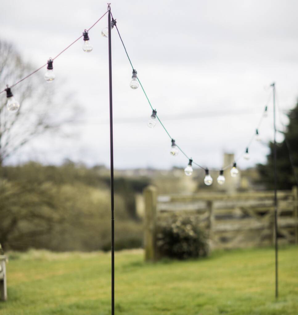 Festoon Pole, 1 of 2