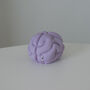 Brain Anatomy Soy Candle, thumbnail 5 of 8