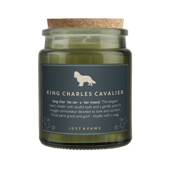 'King Charles…' Definition Large Green Candle • Dog Enthusiast • Just Paws • Gift Box, 3 of 4