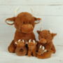 Happy Birthday Star Tag Large Highland Cow, thumbnail 7 of 10