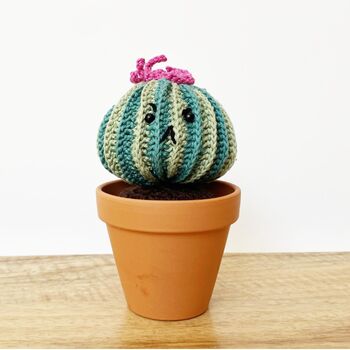 Personalised Cotton Crochet Cranky Cactus Plant, 2 of 5