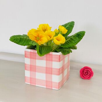 Pink Gingham Plant Pot, 5 of 5