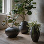 Artisan Large Oval Black Aluminium Vase, thumbnail 1 of 3