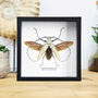 Hercules Longhorn Beetle Handcrafted Frame, thumbnail 1 of 3