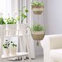 Two Tier Seagrass Basket Hanging Planters Indoor, thumbnail 1 of 4