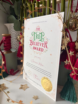 The True Believers Award, 2 of 3