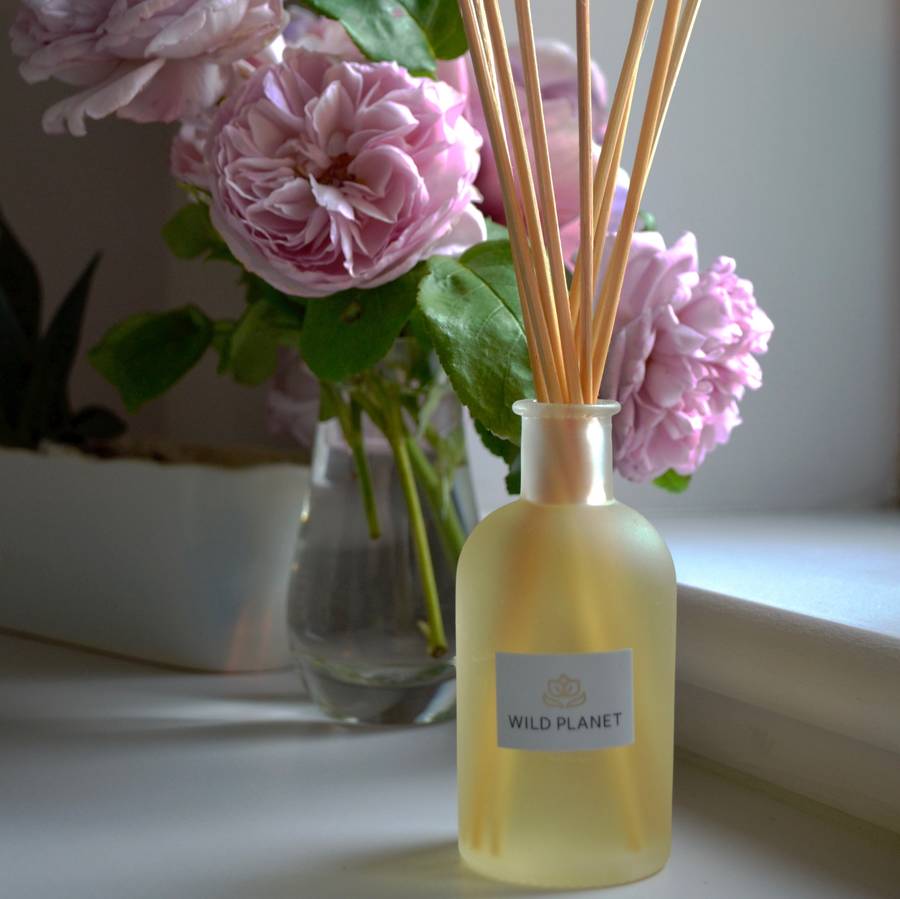 Aromatherapy Rose Geranium And Bergamot Reed Diffuser By Wild