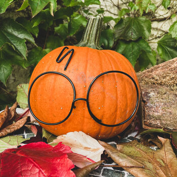 No Mess, Harry Potter Wire Pumpkin Decoration, 2 of 3