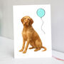 Wirehaired Vizsla Birthday Card, thumbnail 1 of 4