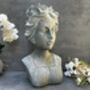 38cm Grey Female Bust Statue Elegant Lady Head Decor, thumbnail 2 of 12