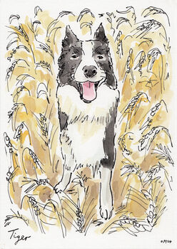 Personalised Pet Portrait, 8 of 12
