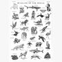 Wildlife Of The World Art Print, thumbnail 7 of 7