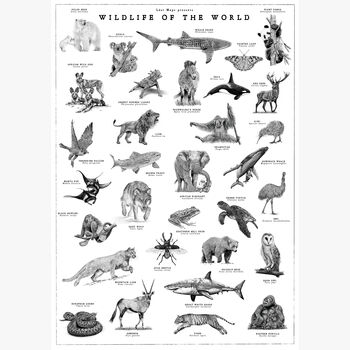 Wildlife Of The World Art Print, 7 of 7