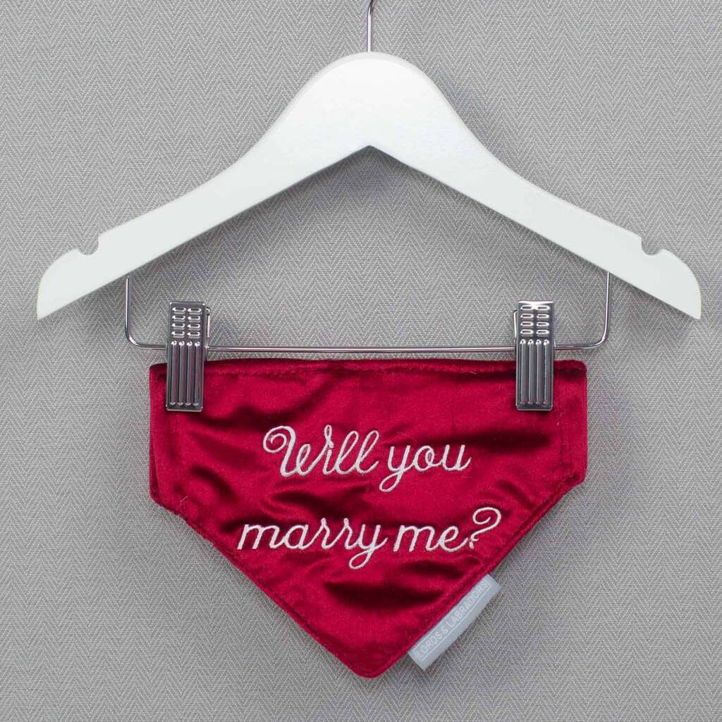 'Will You Marry Me?' Dog Bandana By Lords & Labradors