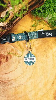 Wild Meadow Bunny Dog Collar With Optional Set, 4 of 7