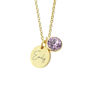 Personalised Gold Plated Birth Crystal Disc Necklace, thumbnail 7 of 12