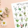 The A To Z Of Herbs Print, thumbnail 5 of 6
