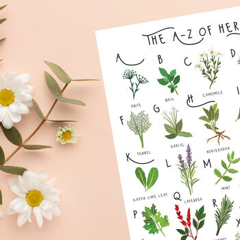 The A To Z Of Herbs Print, 5 of 6