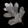Hawthorn Leaf Pewter Brooch, Jewellery Gifts For Her, thumbnail 5 of 7