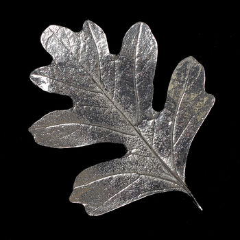 Hawthorn Leaf Pewter Brooch, Jewellery Gifts For Her, 5 of 7