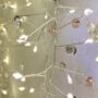 Coco Bead Cluster Mains Or Battery Fairy Lights, thumbnail 2 of 6