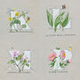 Flora And Fauna Botanical Prints, thumbnail 11 of 12