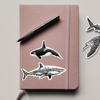 Ocean Animal Sticker Pack, 4 of 7