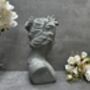 26cm Grey Female Bust Statue Modern Lady Head Statue, thumbnail 3 of 12