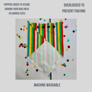 Multi Coloured Stripe Dog Bandana, 3 of 5